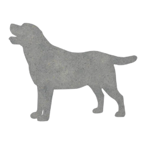 Labrador Retriever (Happy Trot)