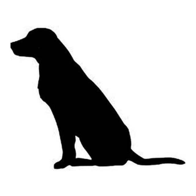 Labrador Retriever 2