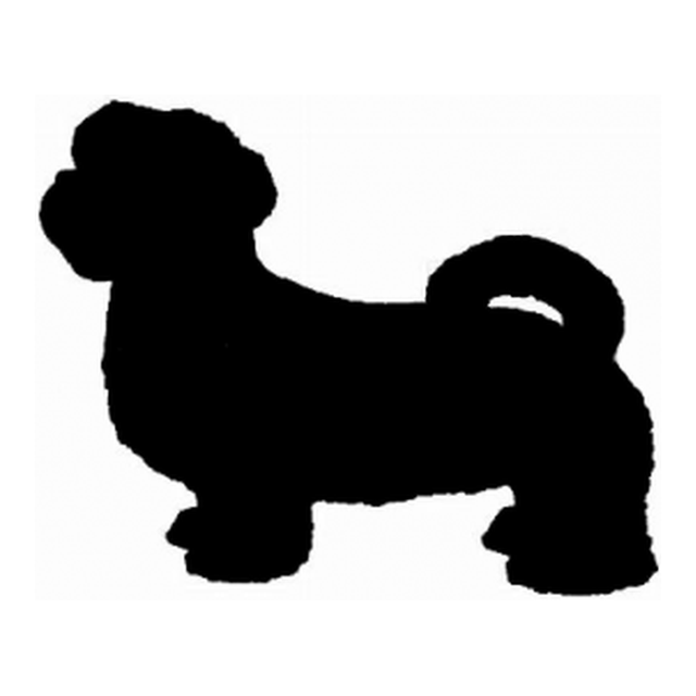 Lhasa Apso 1