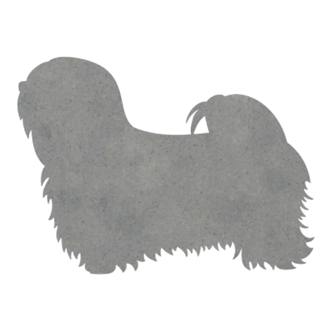 Lhasa Apso (Flowing Coat)