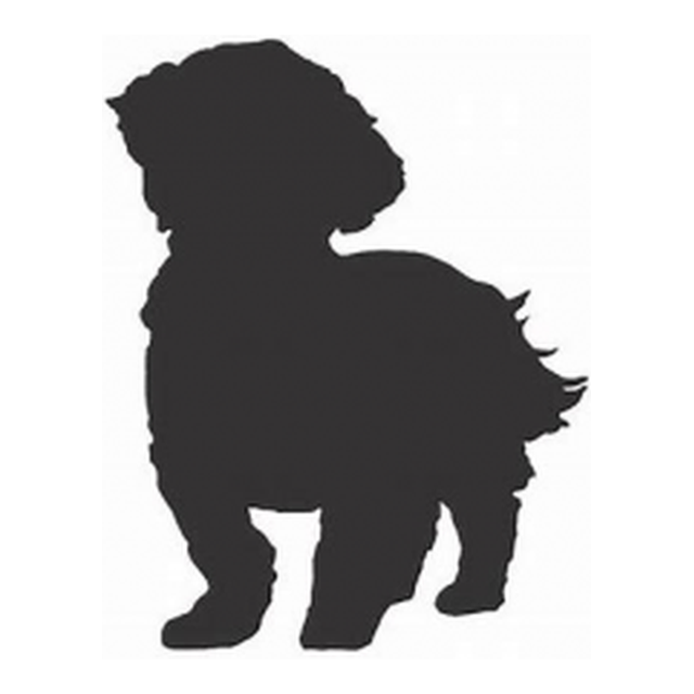 Maltese 1