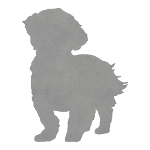Maltese (Fluffy Stance)