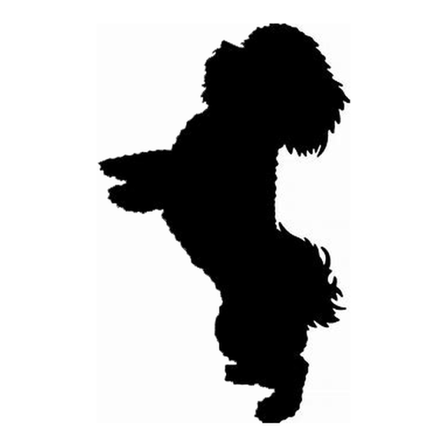 Maltese 2