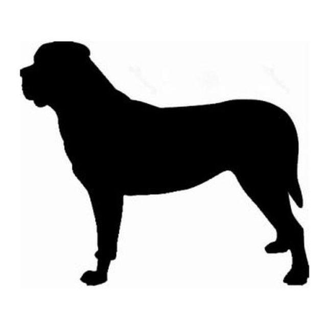 Mastiff 2