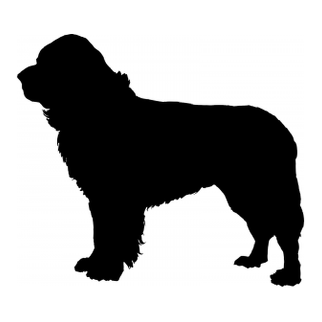 Newfoundland