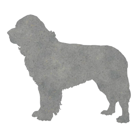 Newfoundland