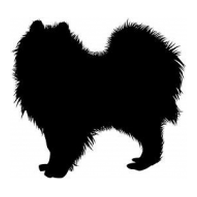 Pekingese