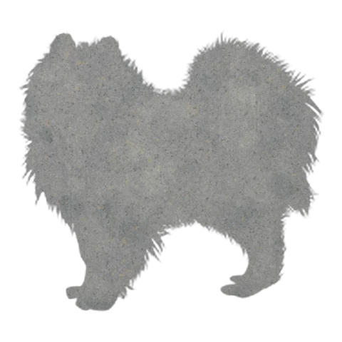 Pekingese