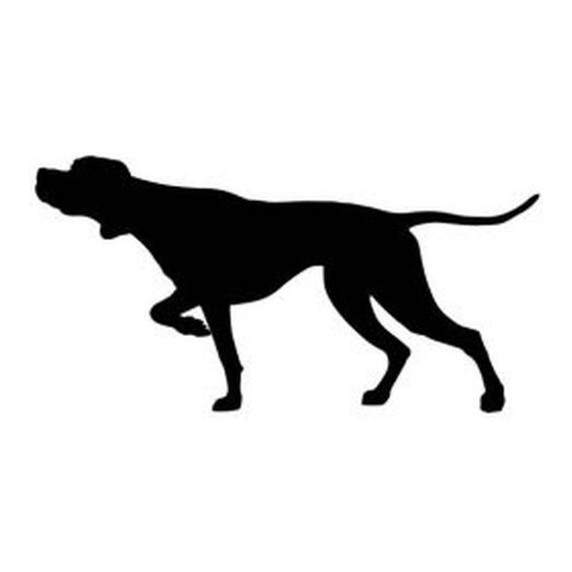 Pointer