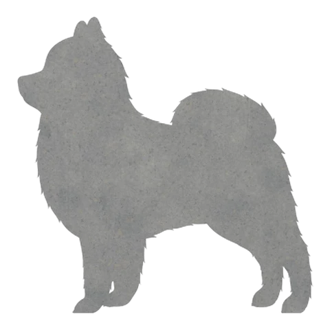 Pomeranian (Fluffy Stance)