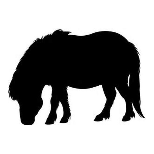 Pony 1
