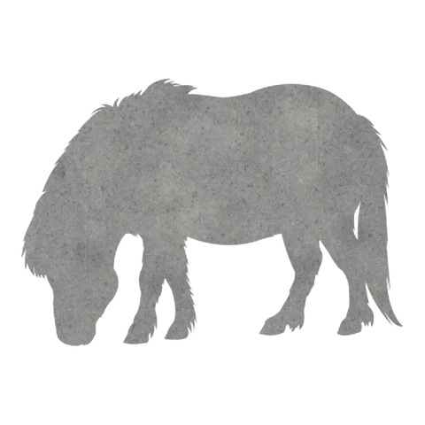 Pony (Grazing)