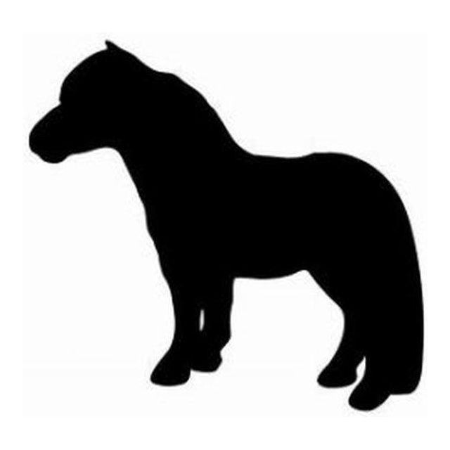 Pony 2