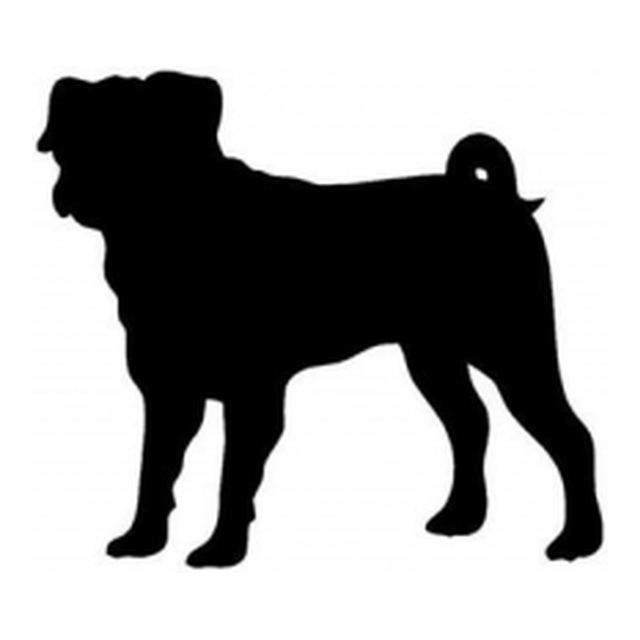 Pug 1