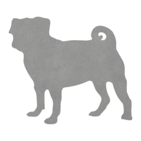 Pug (Curious Stance)