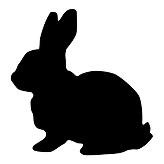 Rabbit 2