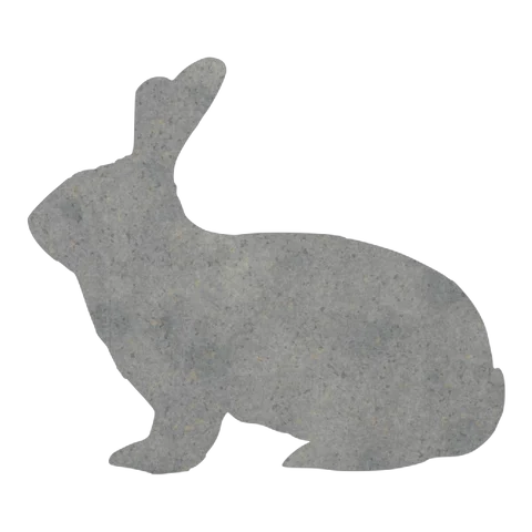 Rabbit (Watchful Ears)