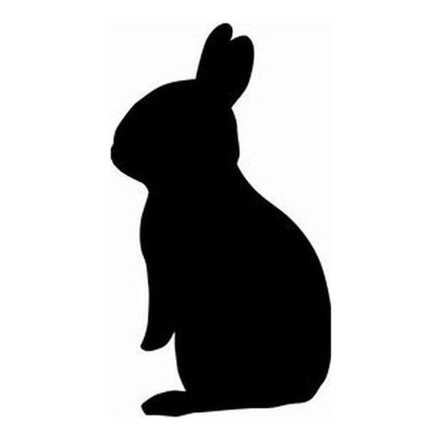 Rabbit 4