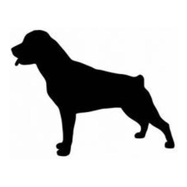 Rottweiler 1