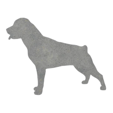 Rottweiler (Watchful Stance)
