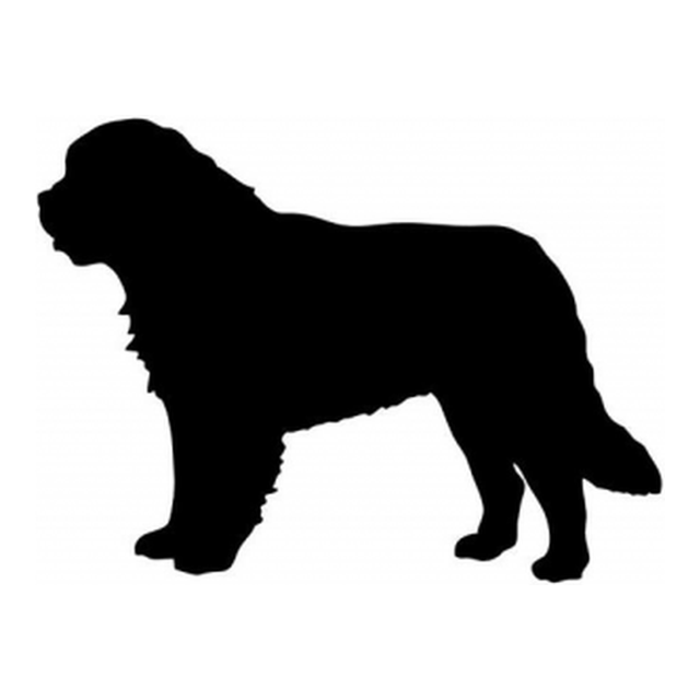 Saint Bernard