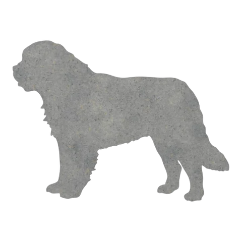 Saint Bernard