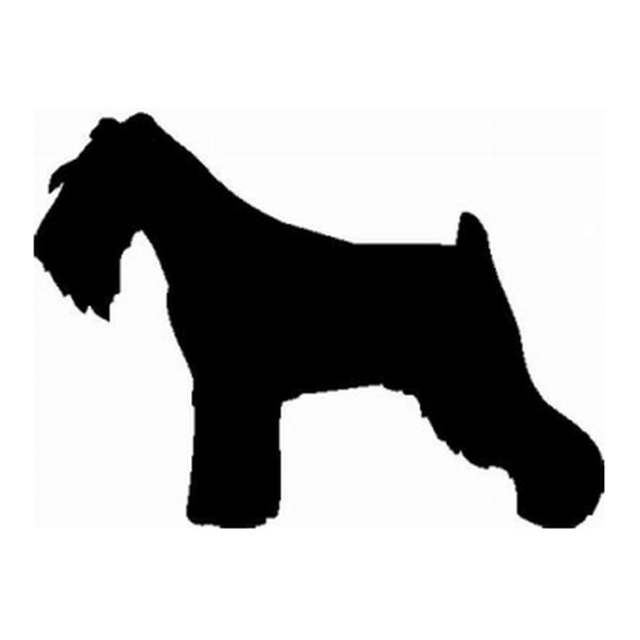 Schnauzer 1