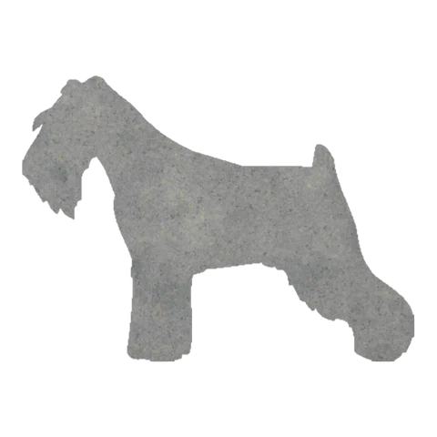 Schnauzer (Classic Stance)