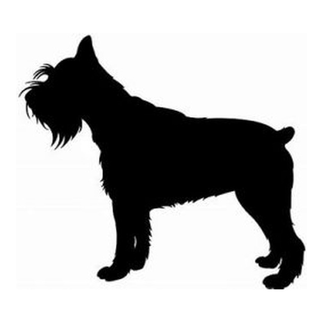 Schnauzer 2