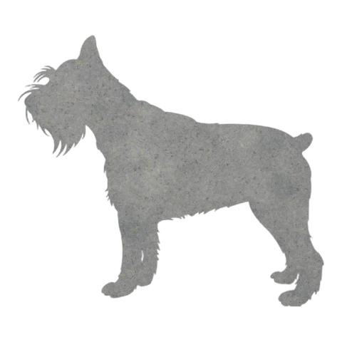 Schnauzer (Shaggy Stance)