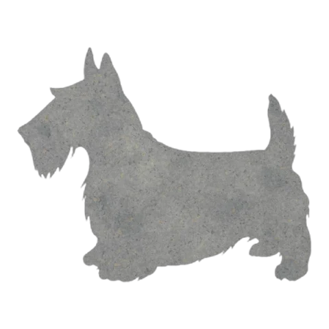 Scottish Terrier (Alert Stance)