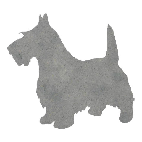 Scottish Terrier (Perky Stance)
