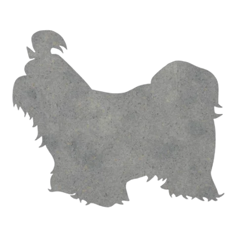 Shih Tzu (Flowing Coat)
