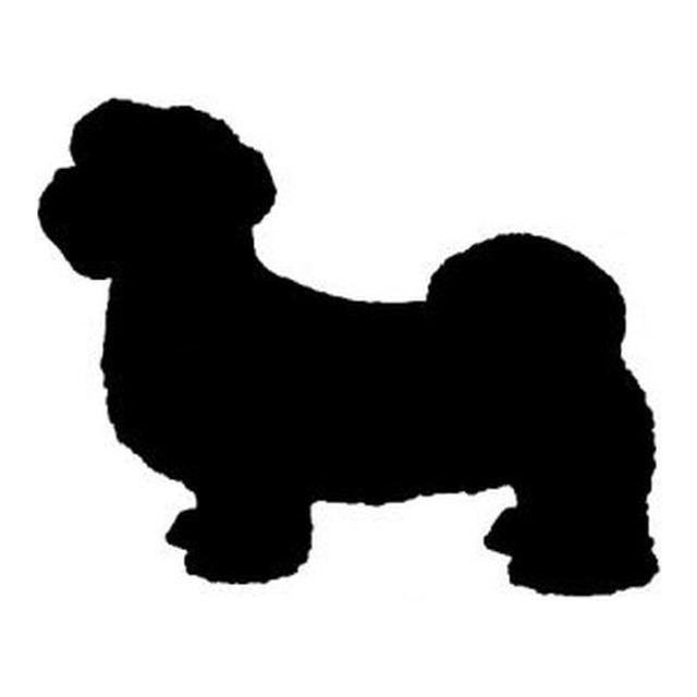 Shih Tzu 2
