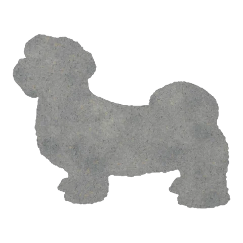 Shih Tzu (Cosy Stance)