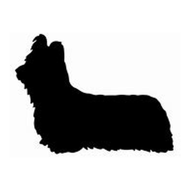 Skye Terrier