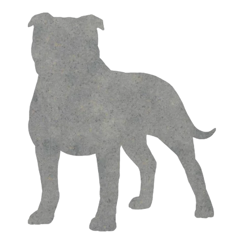 Staffordshire Bull Terrier (Sturdy Stance)