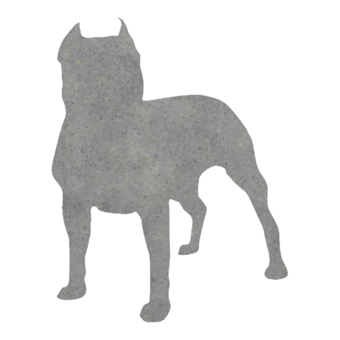 Staffordshire Bull Terrier (Alert Stance)