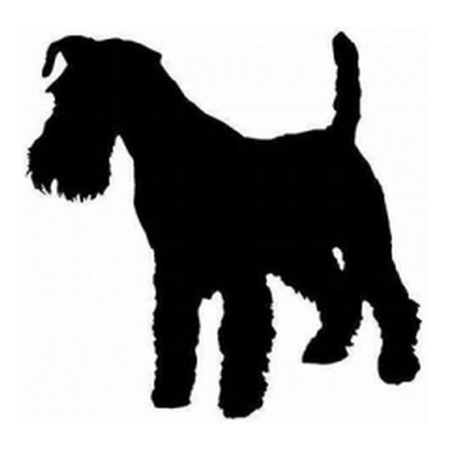 Welsh Terrier