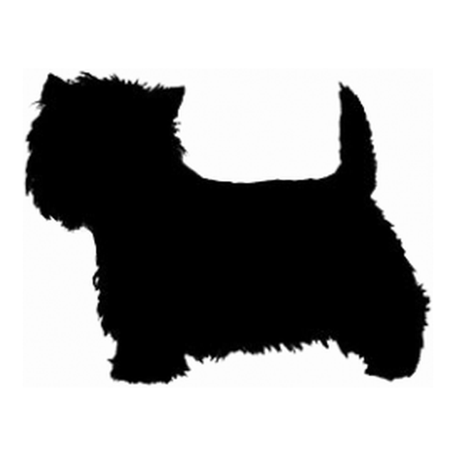 West Highland White Terrier 1