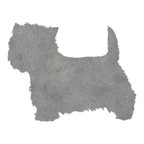 West Highland White Terrier (Perky Stance)