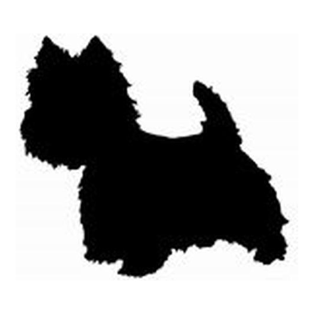 West Highland White Terrier 2