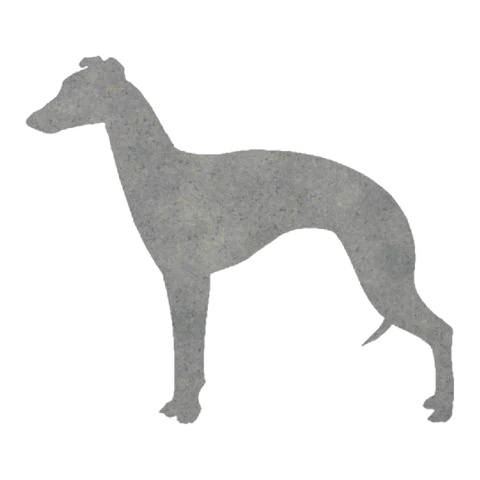 Whippet (Sleek Stance)