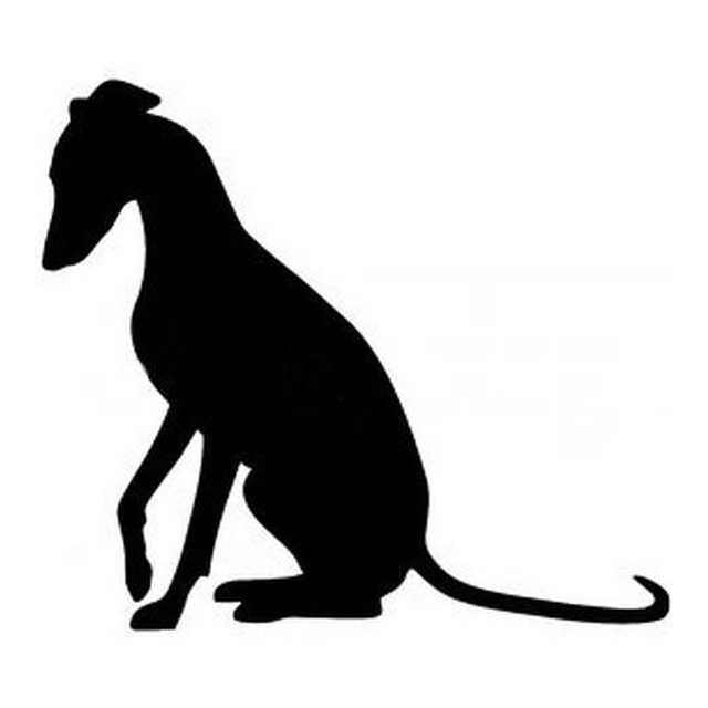 Whippet 2