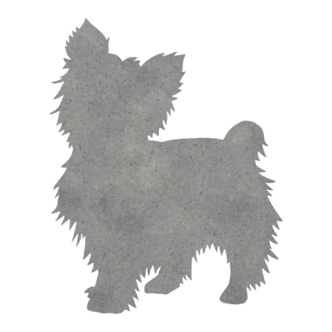 Yorkshire Terrier (Fluffy Stance)