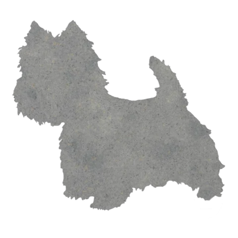 Yorkshire Terrier (Perky Stance)